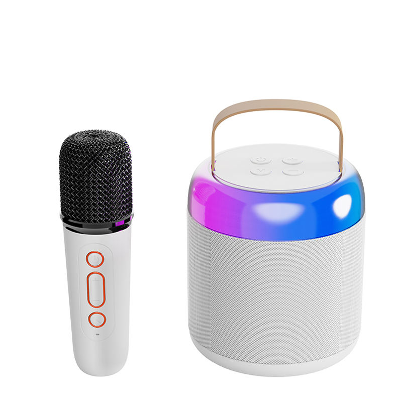 FANSBE Home Party Portable Mini HIFI Karaoke Bluetooth Speaker With Wireless Microphone